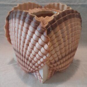Seashell Tissue Box Cover